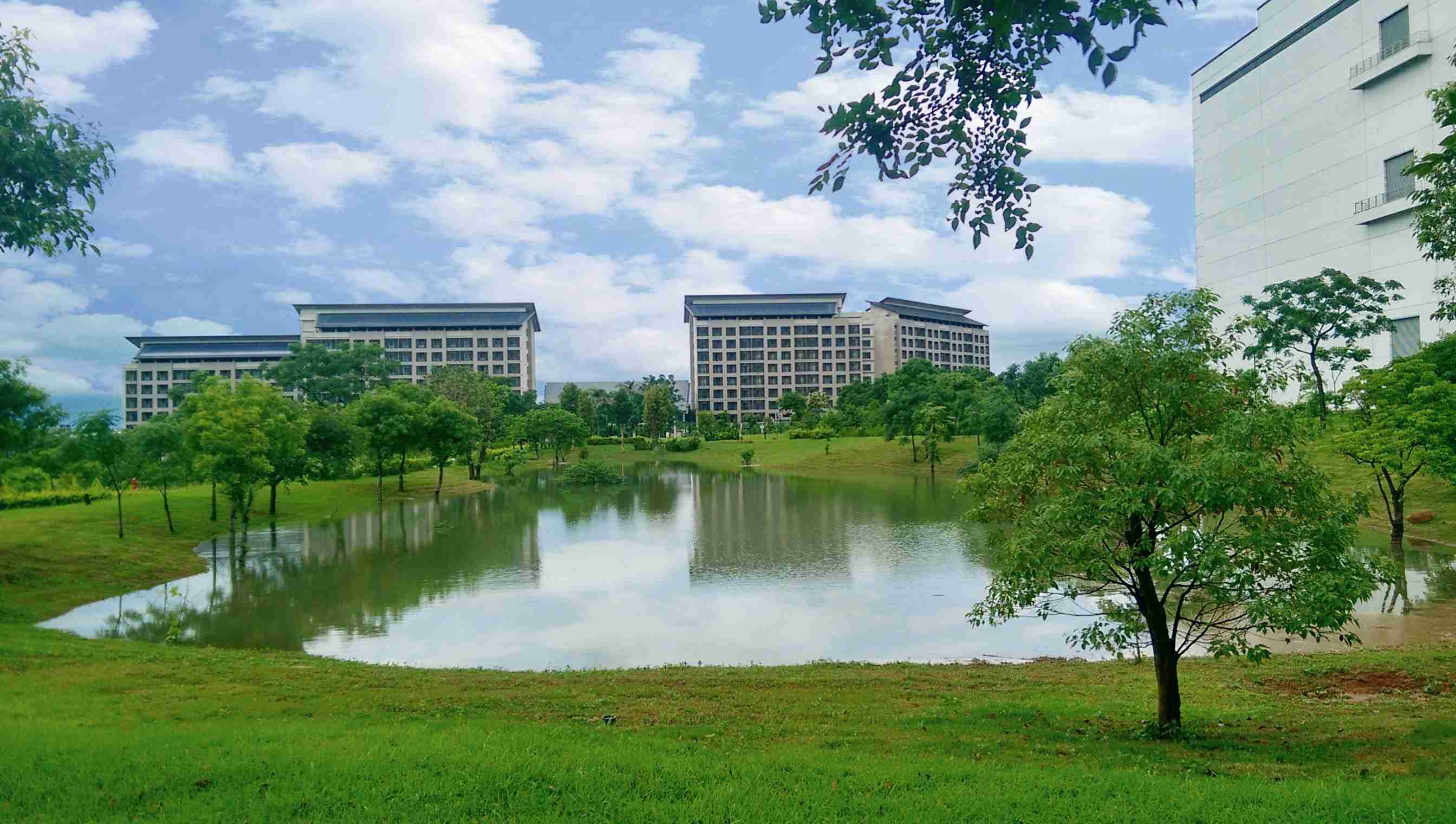 开云电子响应国际倡议生物多样性趋势，，，，首次发布TNFD自然相关财务揭露报告书，，，，擘划及开展开云电子生物多样性政策之承诺，，，，逐步迈向与自然和谐共生